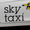 В Києві представили сучасні таксі до Євро 2012 (ФОТО)