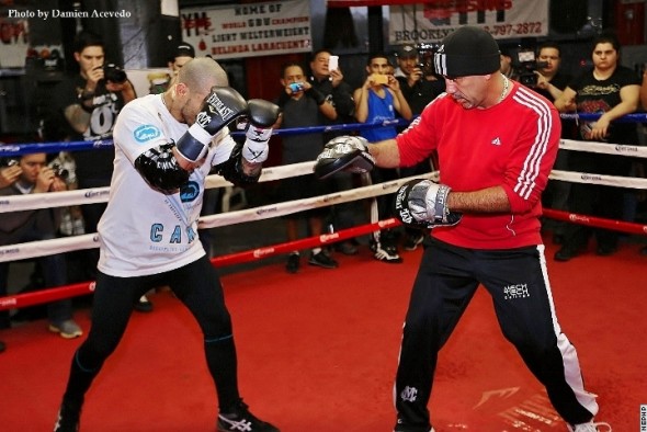 8845_miguel-cotto-workout-20.jpg