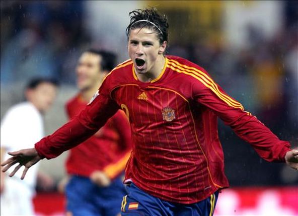 gytrfernando-torres-world-cup-2010-image.jpg