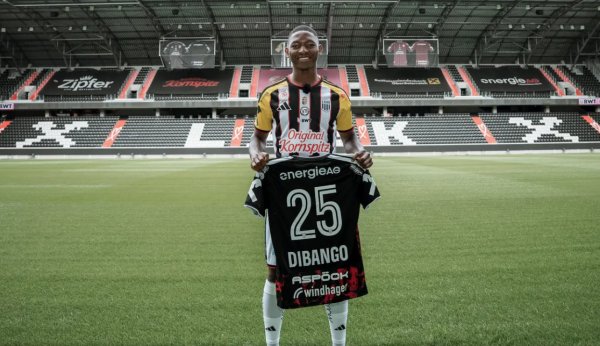66_dibangoo.png (370.05 Kb)