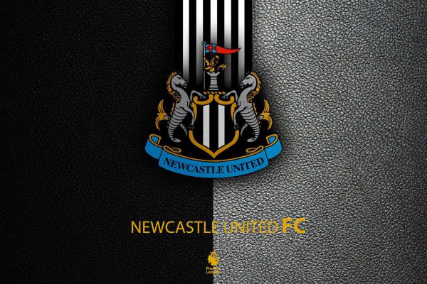 62358647.jpg (69.97 Kb)