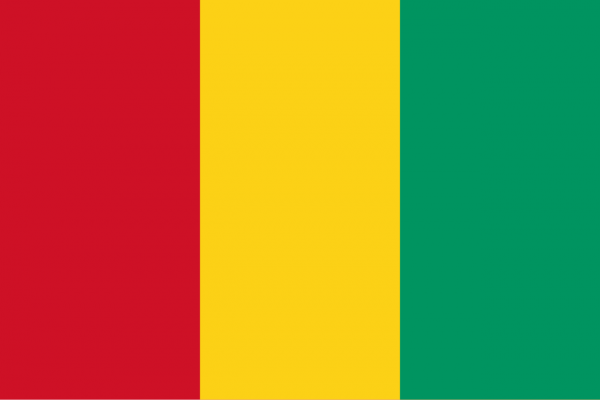 flag_of_guinea_svg_1.png (.04 Kb)