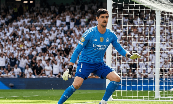 itbroii.png (442.39 Kb)