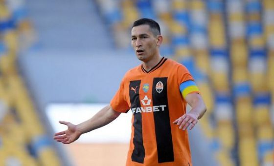 stepanenko.jpg (22.53 Kb)