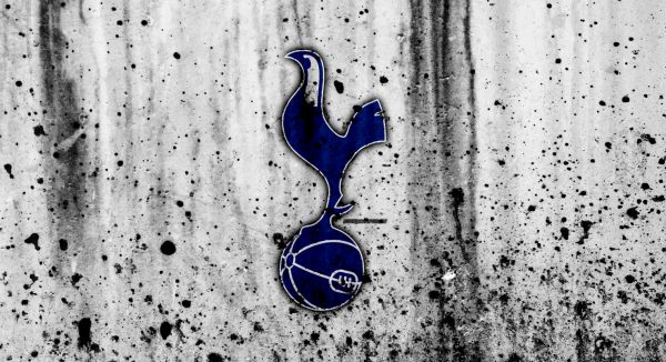 tottenham-hotspur-1.jpg (64.2 Kb)