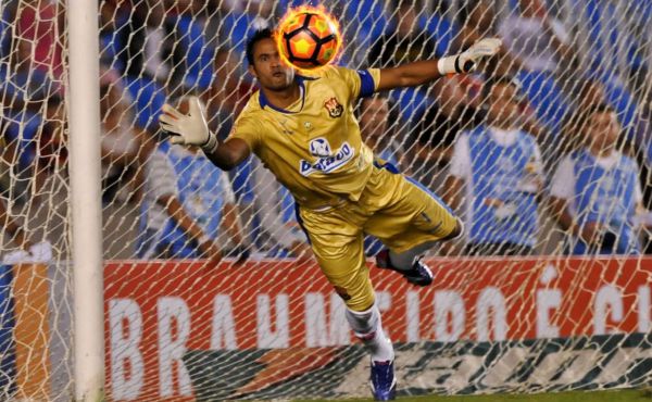 varki.jpg (67.81 Kb)