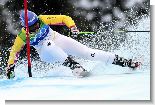 5007_d416f8b52d66b43edbe51b27064bcbcagettytopshotsoly2010skialpinewomengiantslalom.jpg